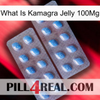 What Is Kamagra Jelly 100Mg viagra4
